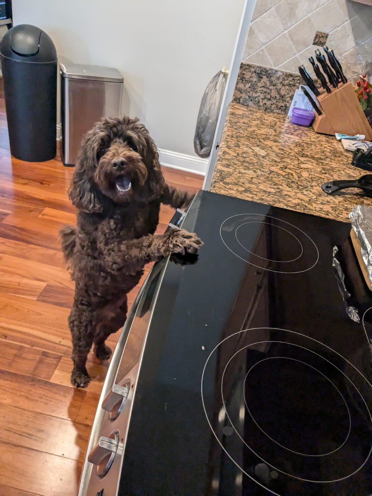 Murphy wanting to cook